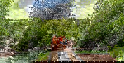 /clients/Rif-Mangrove-Park/Rif-Mangrove-5.jpg